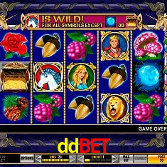 ddbet Belo Horizonte - Reivindique Bonus